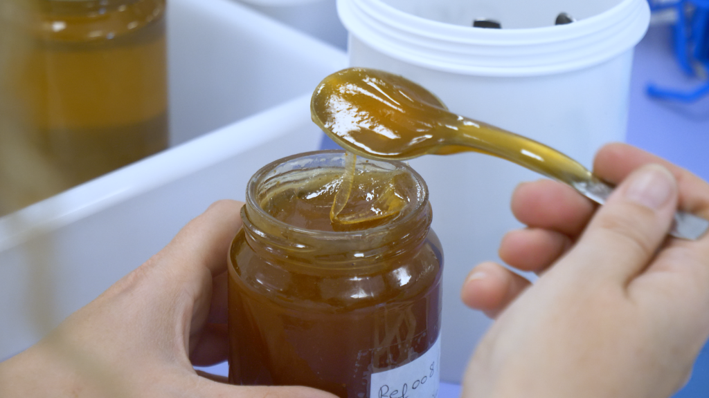 Apinevada desarrolla medicamentos para abejas en sus laboratorios de Escúzar