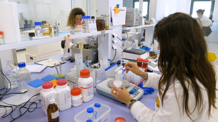 Apinevada desarrolla medicamentos para abejas en sus laboratorios de Escúzar